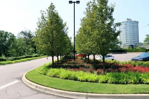 Commercial Landscaping Maintenance By Artform Construction Ltd